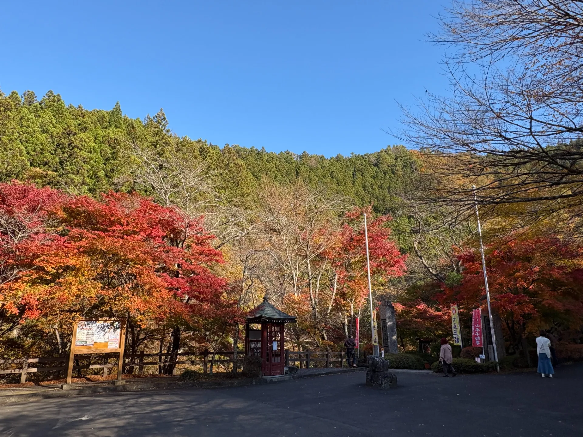 デイサービスすみれ【紅葉狩り】