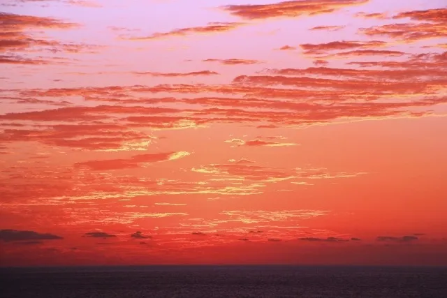 【デイサービスすみれ・こころ居宅介護支援事業所・いちご訪問看護ステーション】本年もありがとうございました。